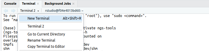 Rstudio : showing button to start a new terminal